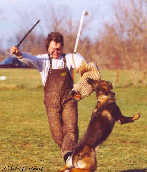 click here for next photo of Ash's training session