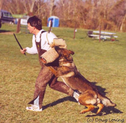 click here for next photo of Ash's training session